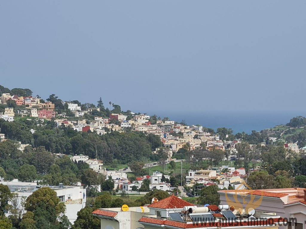 20210303_124702 20210303_124702