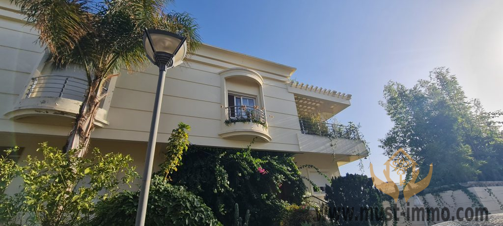 20221017_164551 20221017_164551