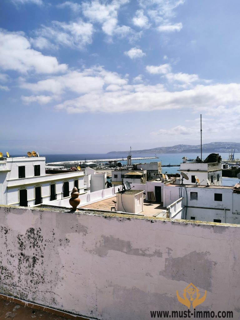 Riad authentique à rénover avec vue sur la mer et la Médina