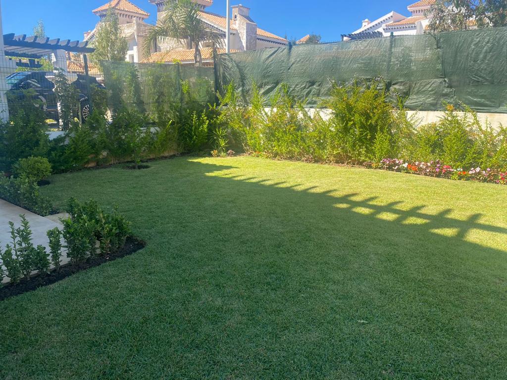 IMG-20250320-WA0058 IMG-20250320-WA0058