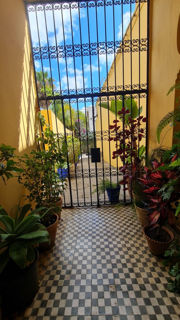 20250910_130248 20250910_130248