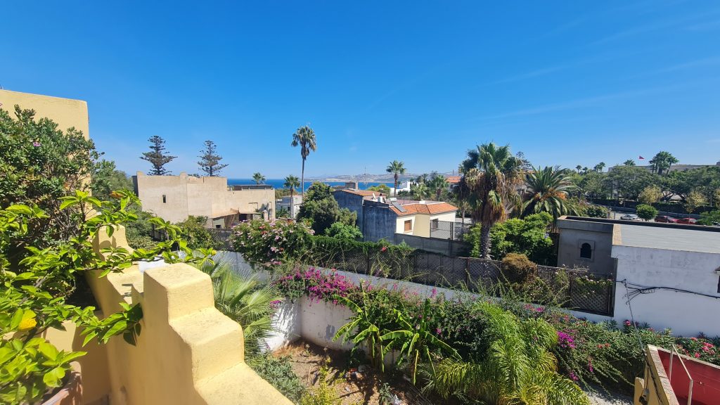 20250913_133635 20250913_133635