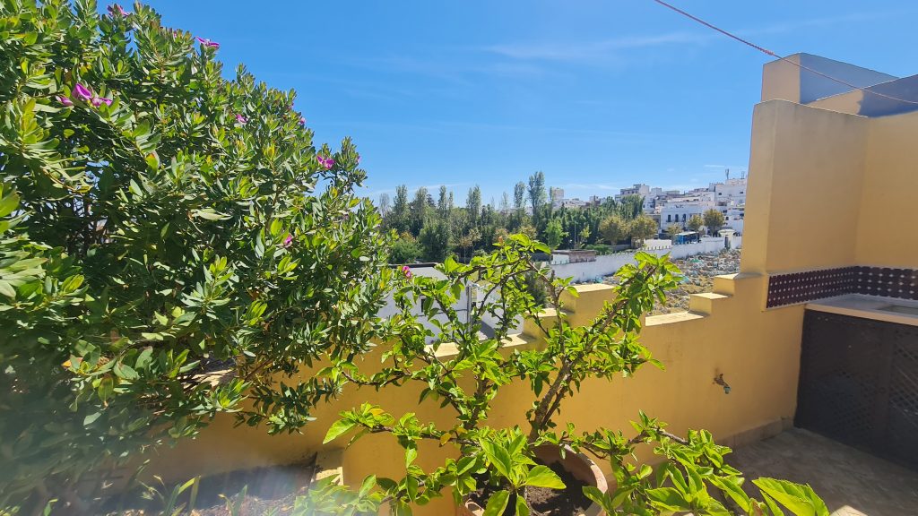 20250913_133720 20250913_133720