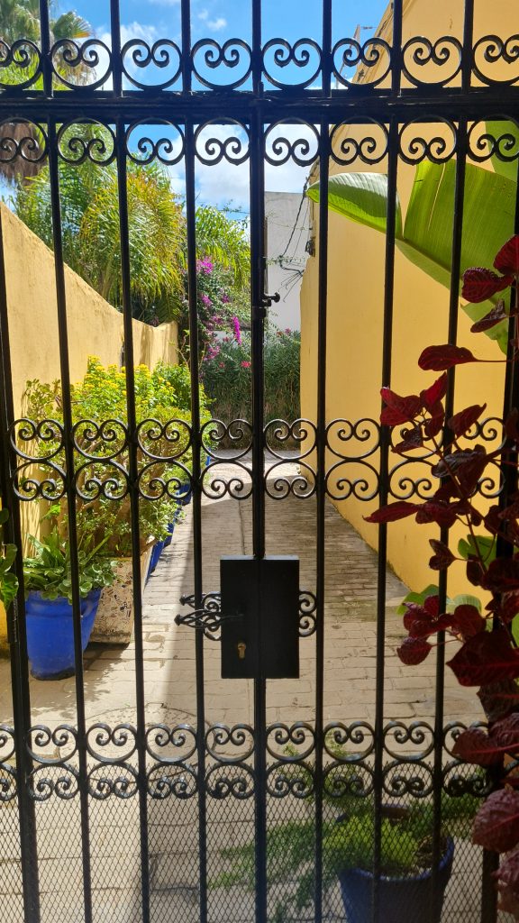 IMG-20250910-WA0024 IMG-20250910-WA0024